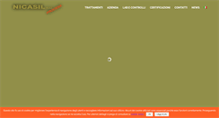 Desktop Screenshot of nicasil.it